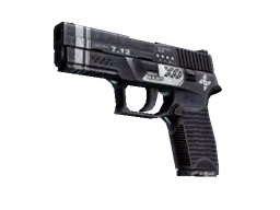 P250 | Re.built (Well-Worn)